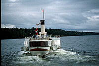 Image 7.tif
