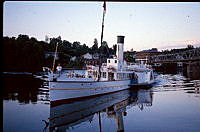 Image 10.tif