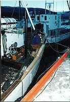 Solvoll2002b 9.jpg