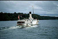 Image 11.tif