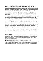 BH November 2024 Aktivitetsrapport.pdf